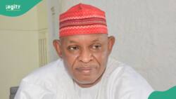 “Frivolous and vexatious”: Kano governor loses bid to halt tribunal ruling
