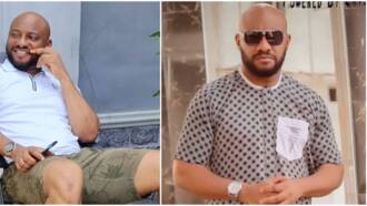 Beryl TV ac89f492c68b9485 “You Are Disrespectful”: Deyemi Okanlawon’s Letter to Thaddeus Attah After Win Over Banky W Sparks Reactions 