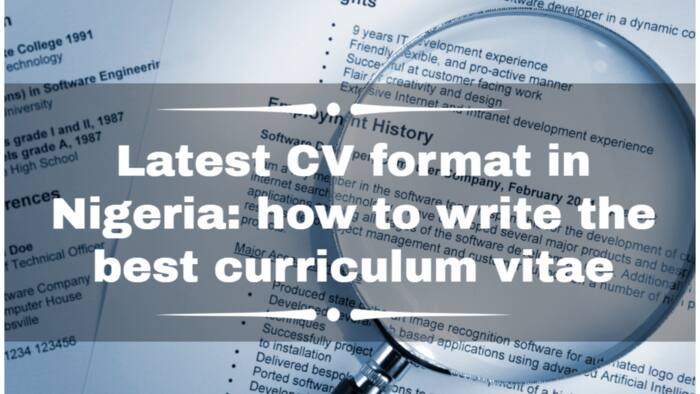 Latest CV format in Nigeria: how to write the best curriculum vitae