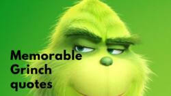 50+ memorable Grinch quotes for people who absolutely hate Christmas