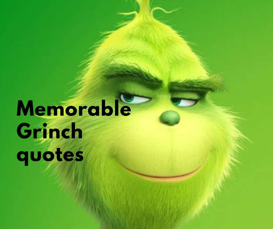 Grinch quotes