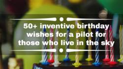 50+ inventive birthday wishes for a pilot for those who live in the sky