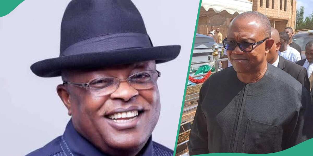 Ohanaeze Ndigbo attacks Labour Party's Peter Obi, see why