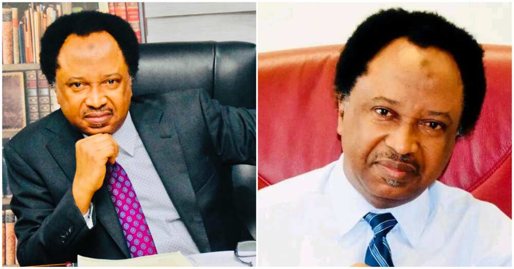 Shehu Sani speaks on report of Federal Character Commission (FCC) selling employment letters/ Federal Character Commission (FCC) selling employment letters/ Federal Character Commission (FCC) job racketeering scandal