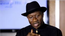 Electoral Act amendment: Goodluck Jonathan blasts National Assembly lawmakers, gives major advice