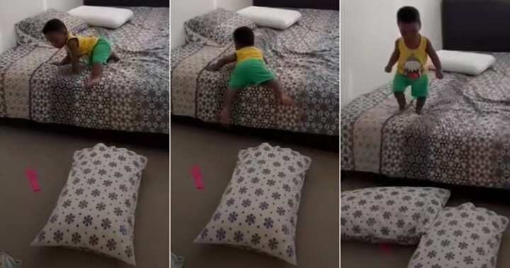 Little boy throws pillows on floor, clever child