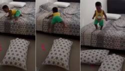 "So clever": Little boy throws pillows on the ground before jumping down from bed, video trends