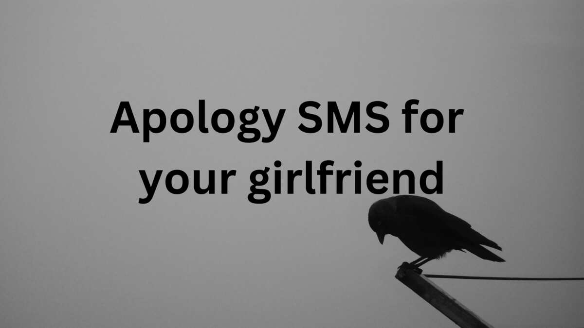 80+ apology SMS for your girlfriend: I'm sorry messages for ...