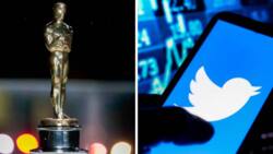 Oscars add Fan Favourite category, fans excited to participate in the voting