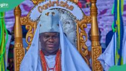 "He is not my child": Ooni of Ife disowns man claiming to be his son, writes police