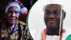 "He may be right": Igbo tribe migrated from Ile-Ife, says Ooni