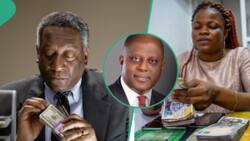 Tough Christmas ahead as naira crashes to all-time low of N980 per dollar