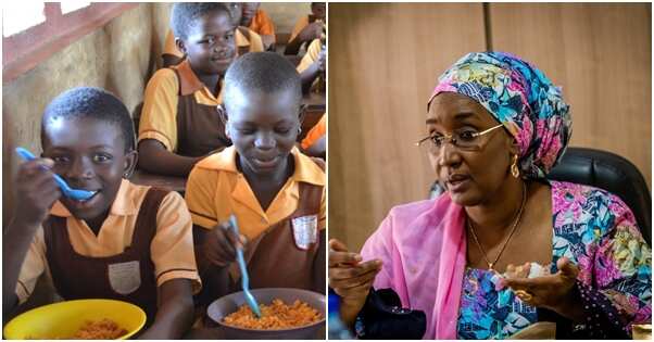 PDP says FG’s school feeding programme is a big scam