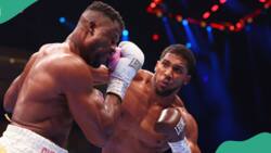 Staged or real? Nigerians react as Anthony Joshua knocks out Francis Ngannou
