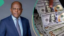 CBN announces dollar inflow into Nigeria rises to $10bn in 2 months, gives breakdown