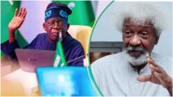 "One thing which distresses me": Soyinka opens up on criticising Tinubu