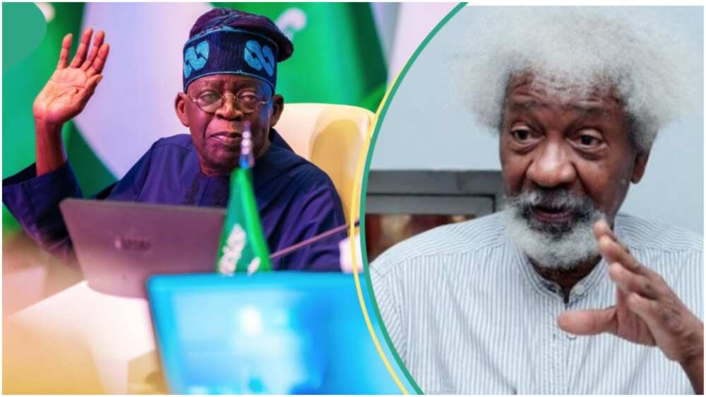 President Bola Tinubu has been told to declare July 13 as Soyinka Day to celebrate the contribution of the Nobel Prize winner to humanity.
