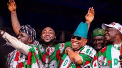 Davido's uncle jitters as court grants APC's request to probe Osun election results further