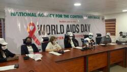 HIV/AIDS: UN highlights 1 most important thing that can end spread of disease