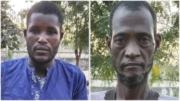 62-year-old man arrested in top northern state for offering police N1M to release suspected kidnapper