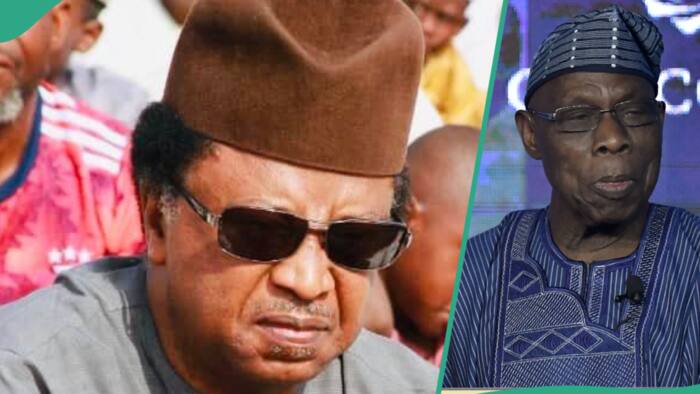 'What happened in prison when Obasanjo and I were serving life sentences', Shehu Sani shares