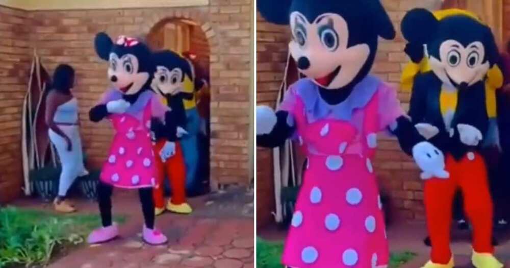 Minne and Mickey Mouse dance video