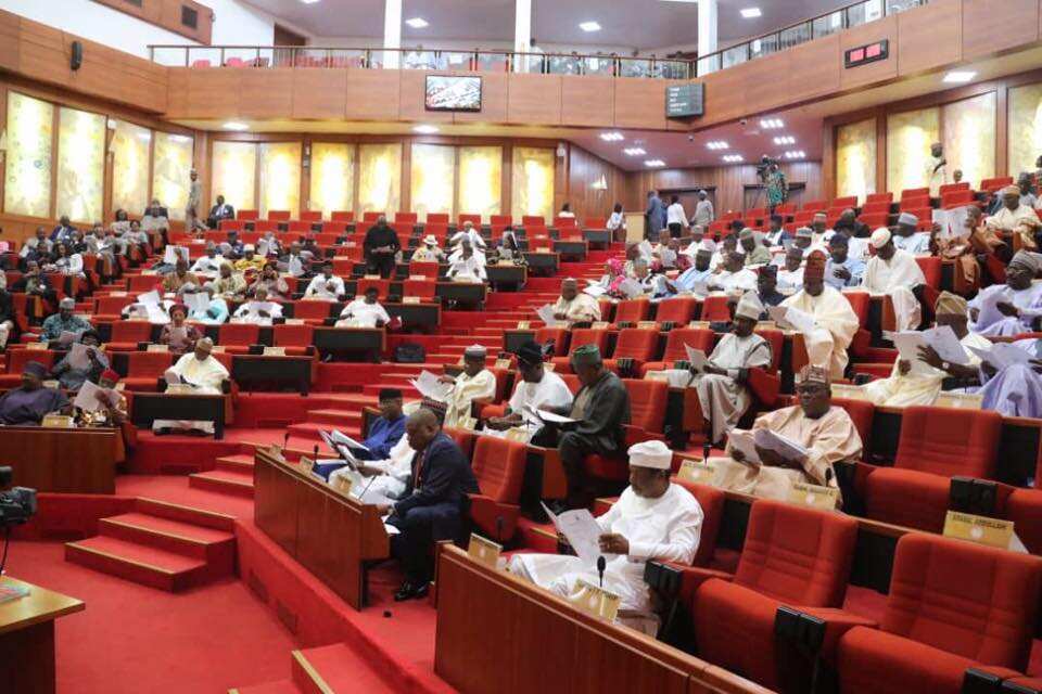 Breaking: Senate approves direct primaries for parties