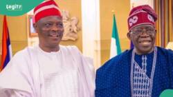 “A great catch”: Ex-presidential hopeful reacts to Kwankwaso's rumoured plan to join APC