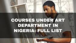 Courses under art department in Nigeria: Get the full list