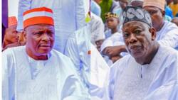 "Ka Zama Kaya" Kwankwaso Ya Maida Zazzafan Martani Ga Shugaban APC Na ƙasa Ganduje