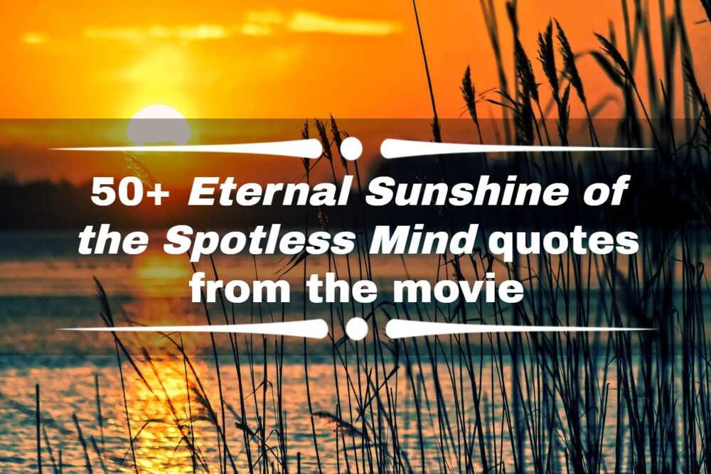 Eternal Sunshine of the Spotless Mind quotes