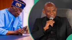 Tony Elumelu breaks silence on reported plans by Tinubu to appoint him as new CBN governor