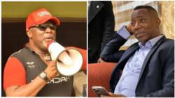 Naira redesign: Powerful presidential candidate mocks Dino Melaye for donating huge cash