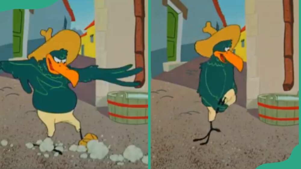 Senor Vulturo from Looney Tunes