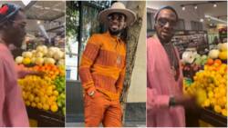 "E plenty for Lagos": Nigerians react as D'Banj looks for guava and agbalumo in Los Angeles supermarket