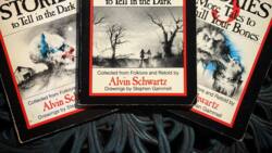 Scary Stories to Tell in the Dark books vs. movie: the comparison revealed