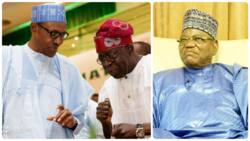 I foresee palace coup: PDP chieftain reveals who Buhari wants to give APC presidential ticket, it's not Tinubu