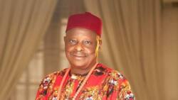 NNPP's number 1 man reveals Kwankwaso's unflinching commitment to Ndigbo as 2023 presidential poll draws near