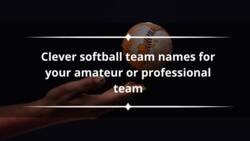 260+ clever softball team names for your amateur or professional team