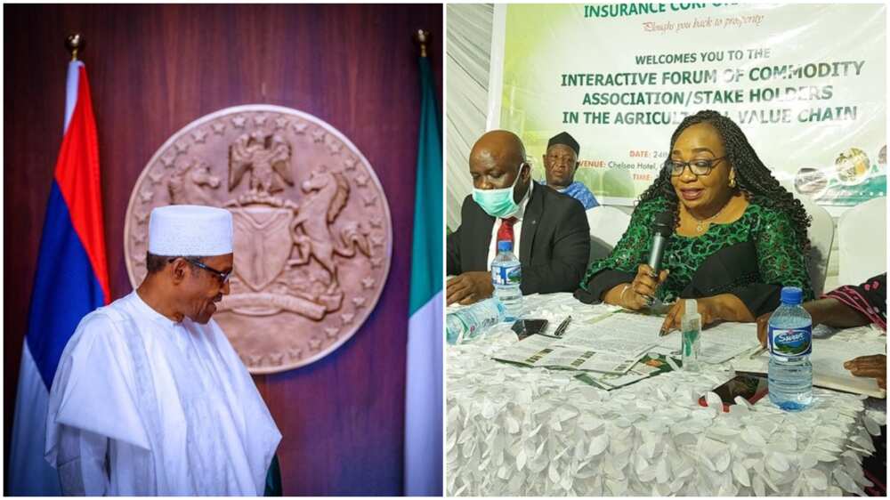 Folashade Joseph: Buhari reappoints MD of NAIC for another term