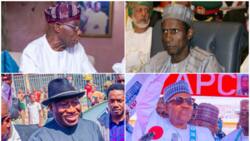 2023 elections: How winners, losers, 3rd forces performed in presidential polls from Obasanjo to Buhari