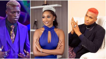 BBNaija Level Up: Beauty speaks after disqualification, talks feelings for Hermes, apologises about Groovy