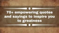 70+ empowering quotes and sayings to inspire you to greatness
