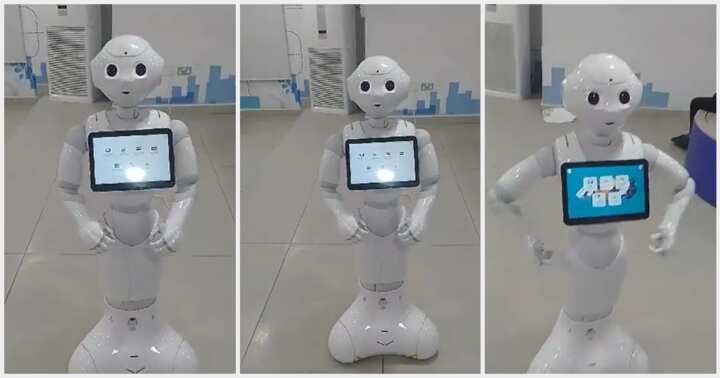 “Tap on My Chest”: First Bank Installs Robot in Branch, Video ...