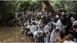 Osun Osogbo Festival: Govt warns devotees, tourists against drinking from river, gives reason