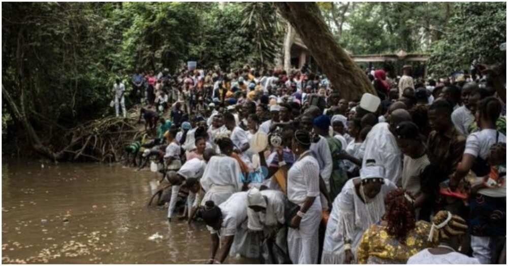 Osun Osogbo Festival, Osun state, Ademola Adeleke