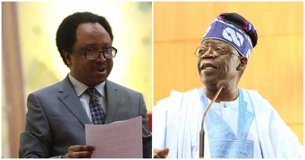 Shehu Sani says some leaders in the north are not sincere with Tinubu