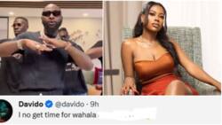 “I no get time for wahala”: Davido says after baby mama Sophia Momodu rants about financial bullying from men
