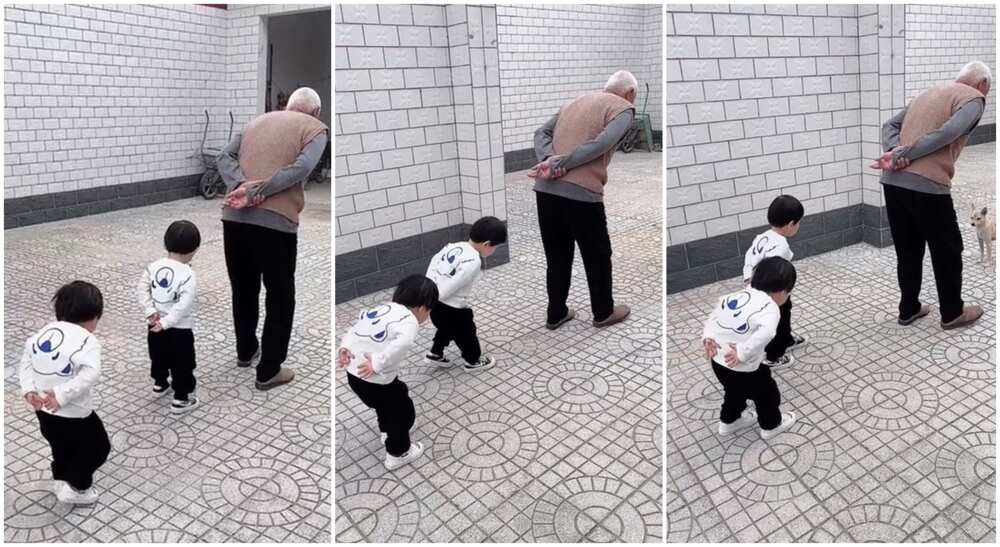 Photos of twin children imitating the way their grandfather walks.