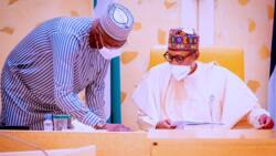 APC ta Dakatar da SGF, Jam’iyya na Binciken Sanata, An Jero Zargin da Ake Yi Masu